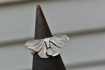 Moth Ring Size 10