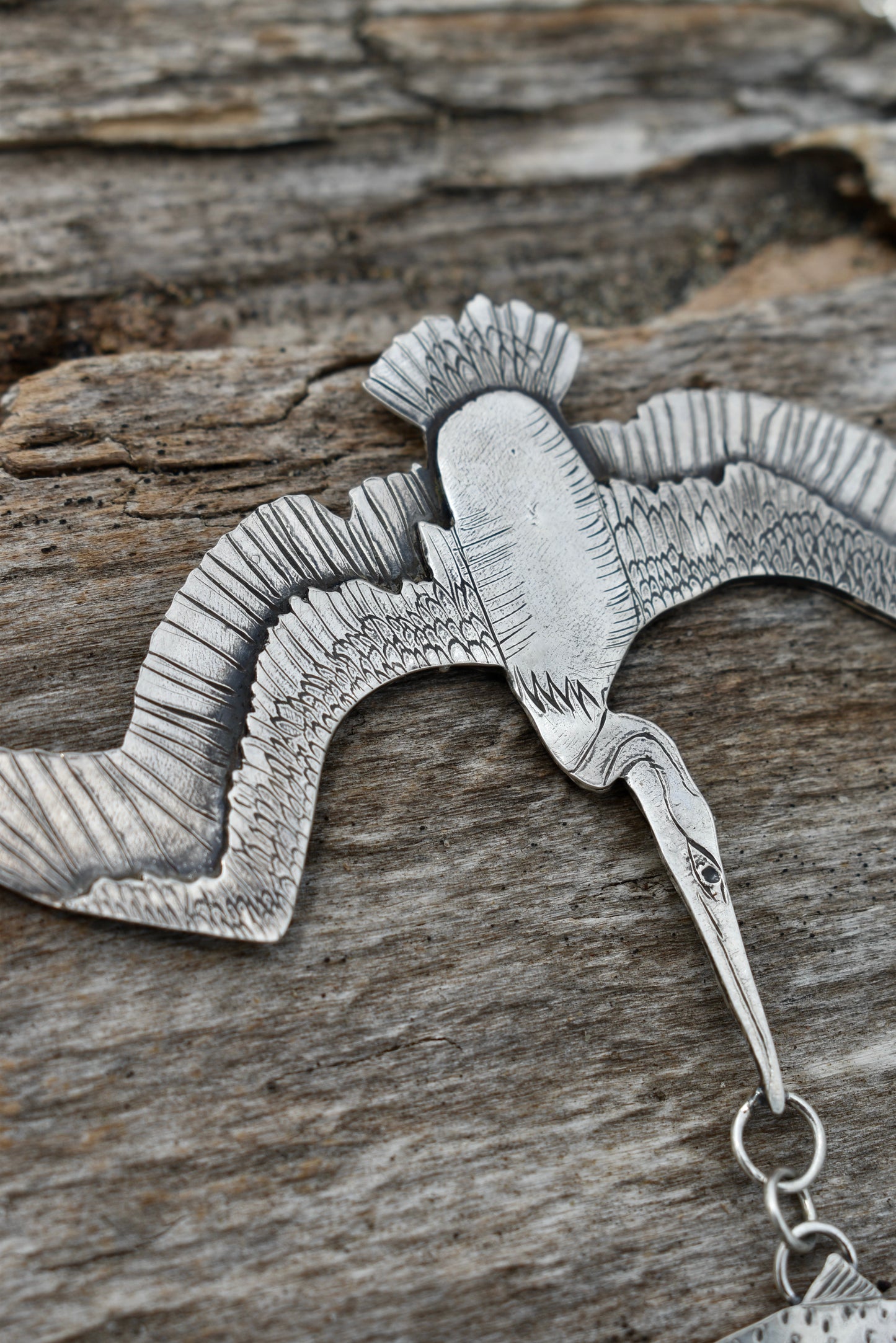 Brown Pelican Fishing with Peridot